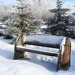 Pensión Schaeferhaus, Incl Meinecardplus Willingen (Upland)