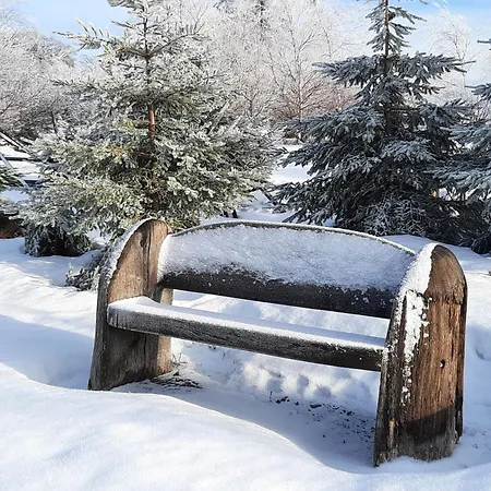 Гостевой дом Schaeferhaus, Incl Meinecardplus Виллинген