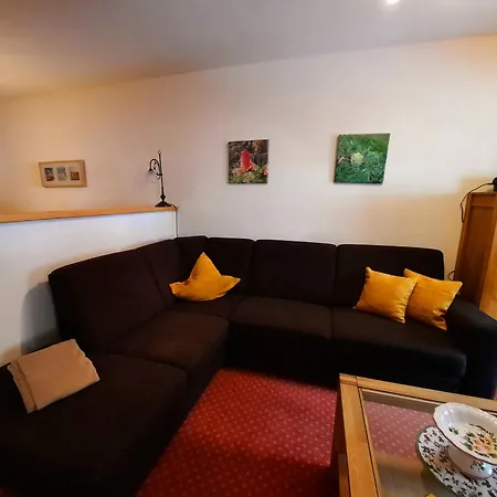 Schaeferhaus, Incl Meinecardplus 3* Виллинген