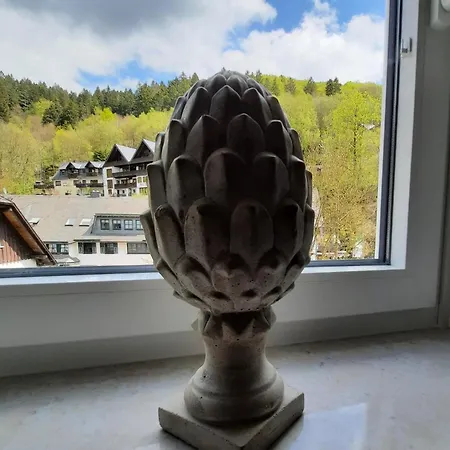 Schaeferhaus, Incl Meinecardplus Гостевой дом