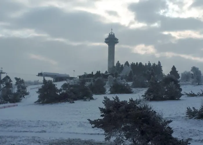 Pensión Schaeferhaus, Incl Meinecardplus Willingen (Upland)
