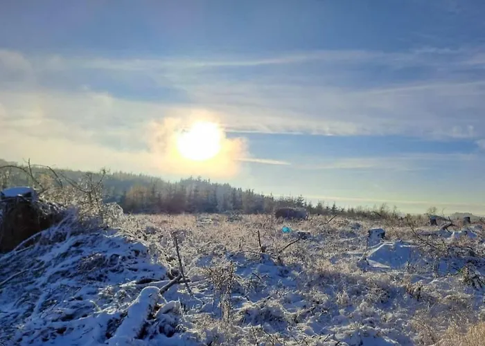 ゲストハウス Schaeferhaus, Incl Meinecardplus