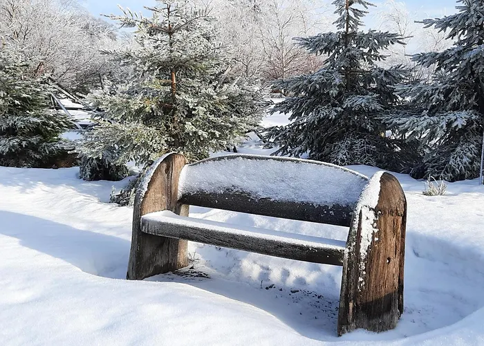 게스트하우스 Schaeferhaus, Incl Meinecardplus 빌링겐