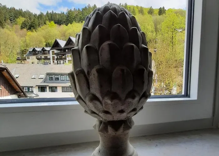 Schaeferhaus, Incl Meinecardplus 게스트하우스